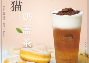 NG大舞台：熊猫奶盖茶