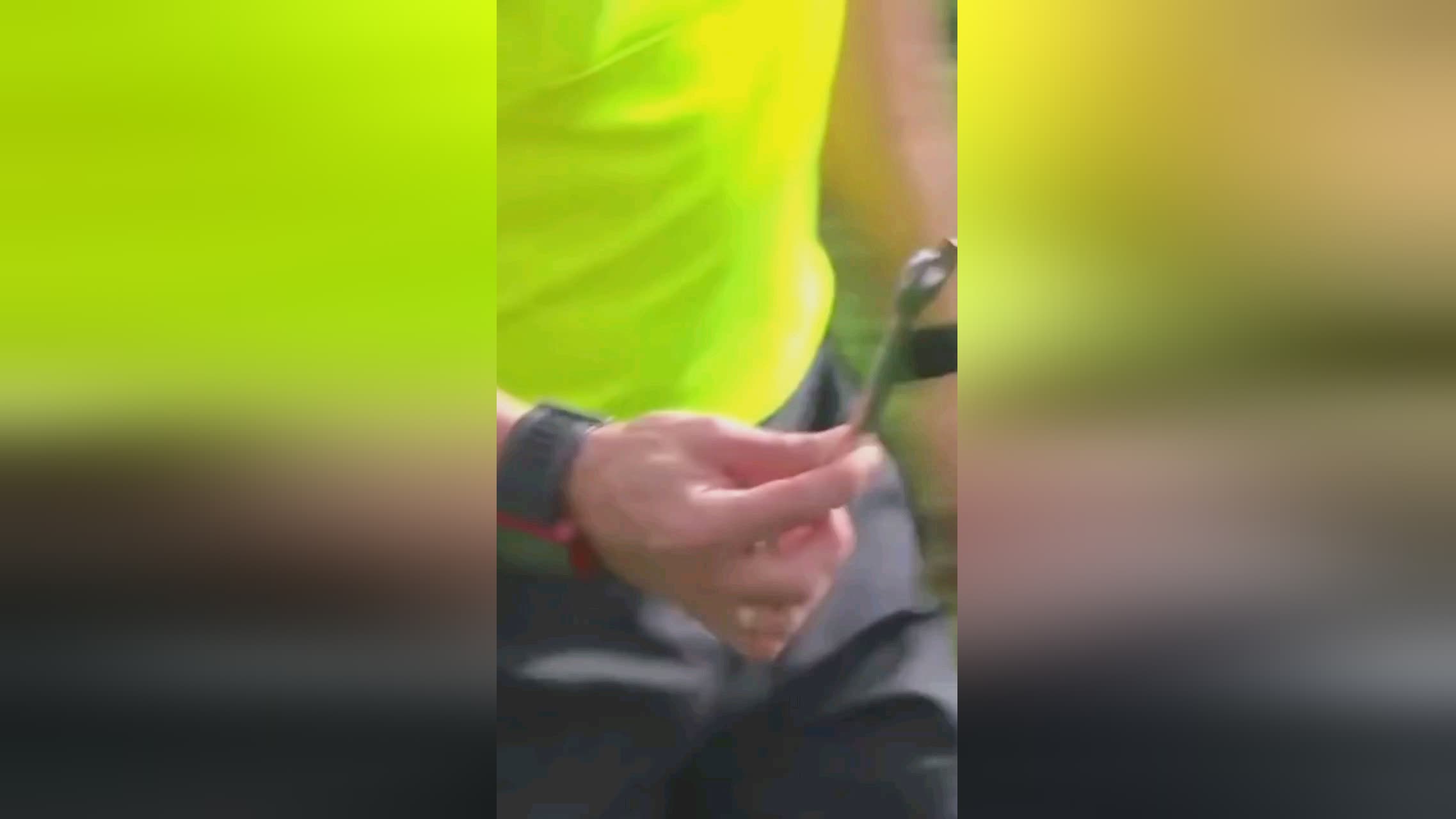的年轻球